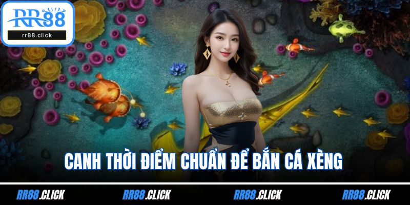 Canh thời điểm chuẩn để bắn cá xèng