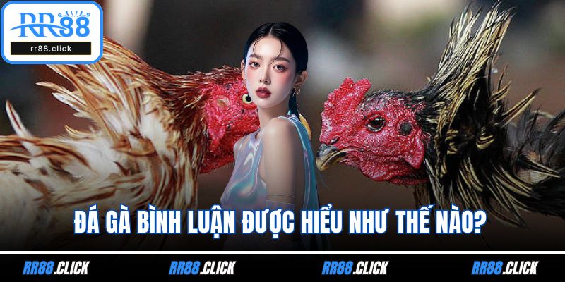 Đá gà bình luận được hiểu như thế nào?