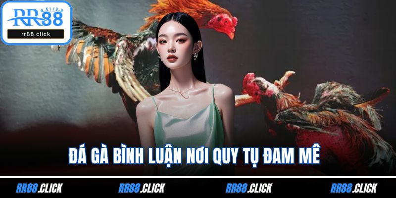 Đá gà bình luận