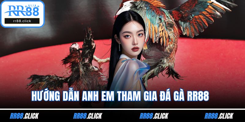 Hướng dẫn anh em tham gia đá gà RR88
