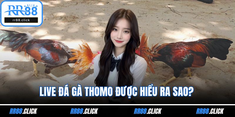 Live đá gà Thomo được hiểu ra sao?