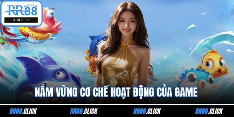 Nắm vững cơ chế hoạt động của game