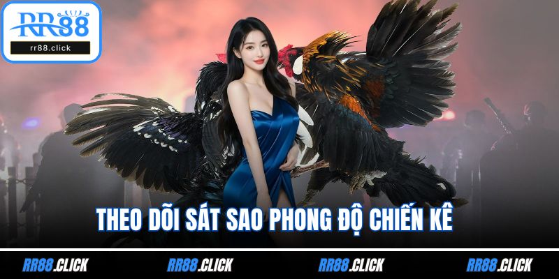 Theo dõi sát sao phong độ chiến kê 