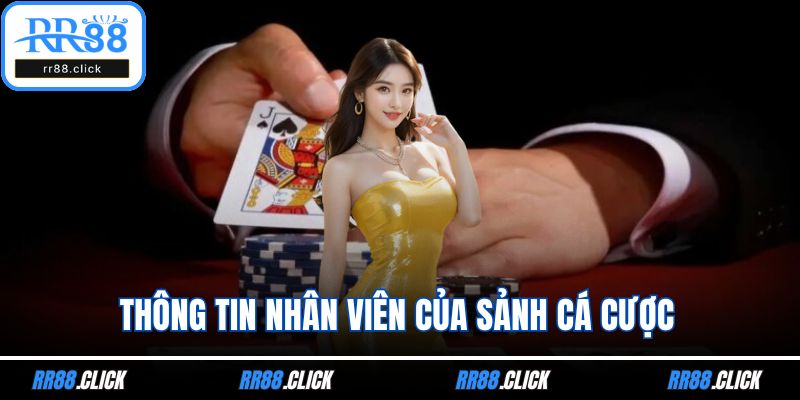 Thông tin nhân viên của sảnh cá cược