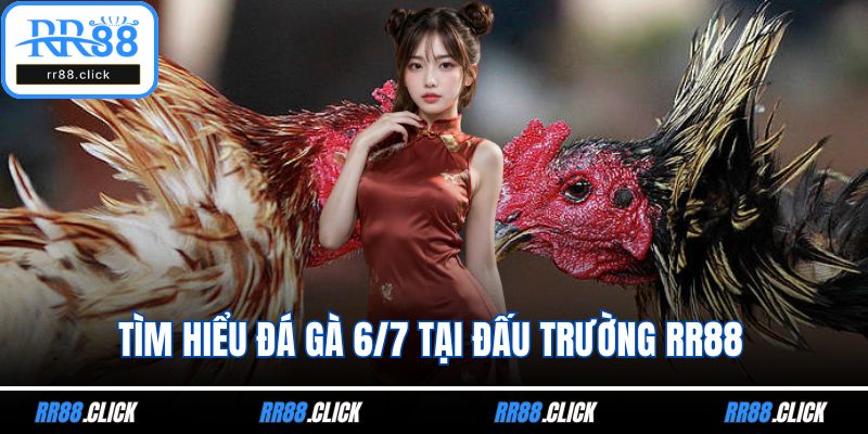 Tìm hiểu đá gà 6/7 tại đấu trường RR88