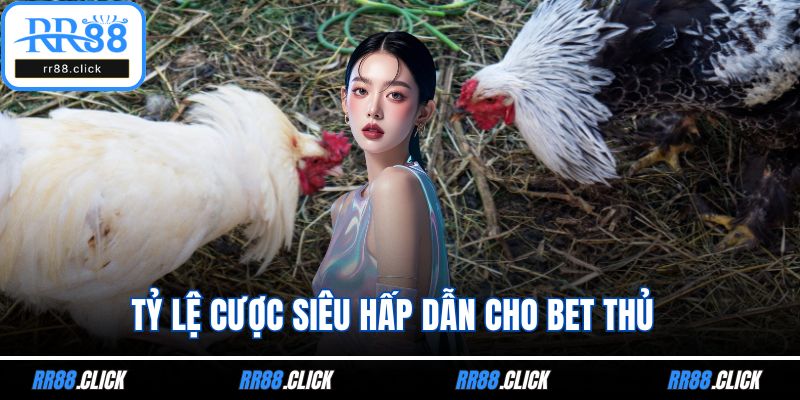 Tỷ lệ cược siêu hấp dẫn cho bet thủ
